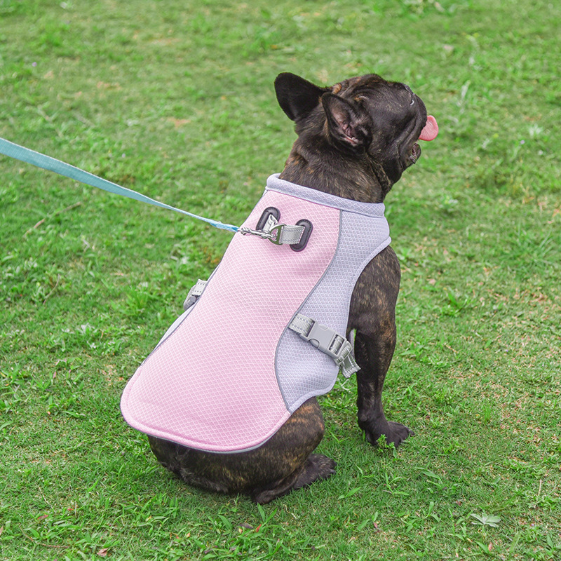 ChillPaw™ Cooling Vest | Keep Your Dog Cool All Summer