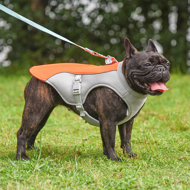 ChillPaw™ Cooling Vest | Keep Your Dog Cool All Summer