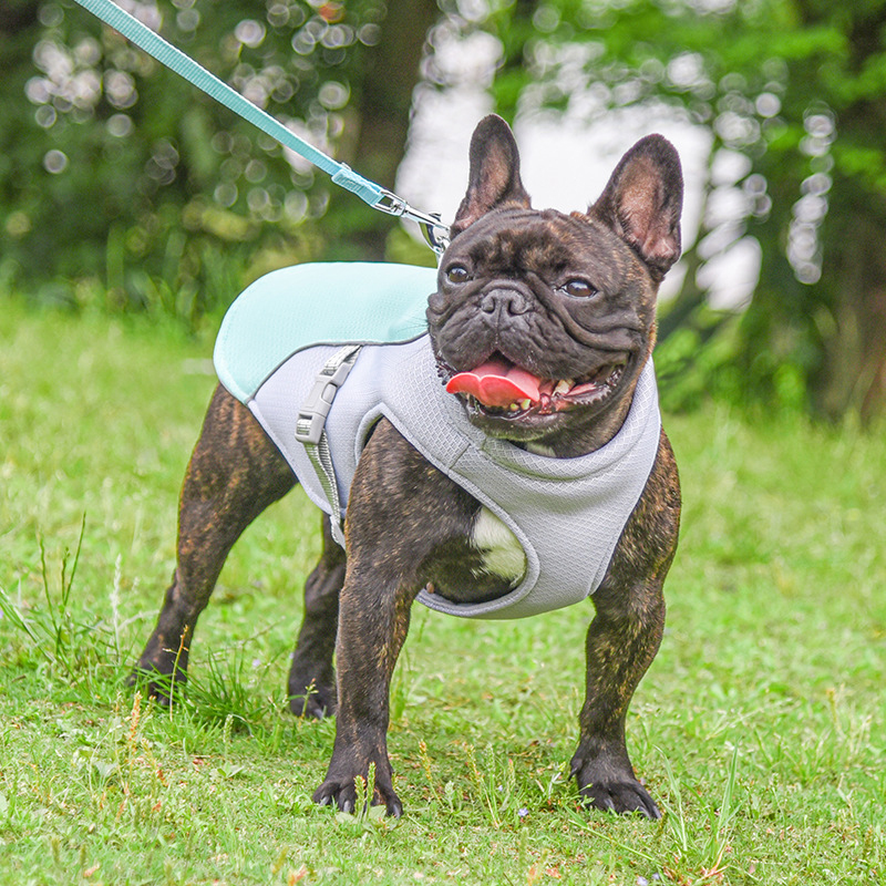 ChillPaw™ Cooling Vest | Keep Your Dog Cool All Summer